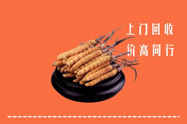 吉利区回收冬虫夏草