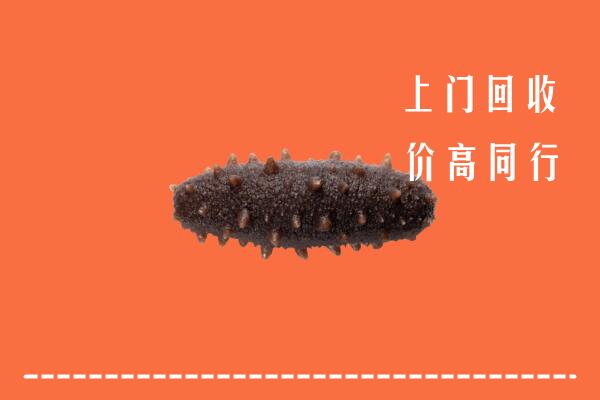 吉利区高价回收海参