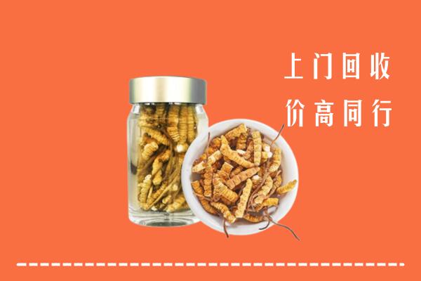 吉利区回收冬虫夏草