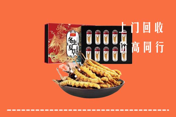 吉利区回收虫草